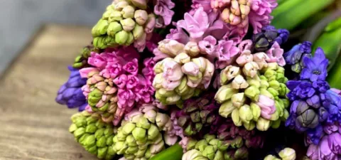 Цветочный гороскоп