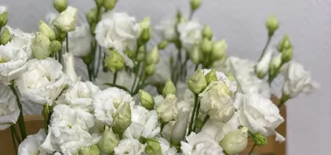 Сказка о принцессе