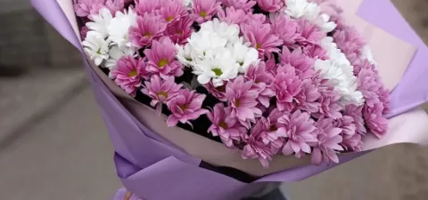 Новость дня