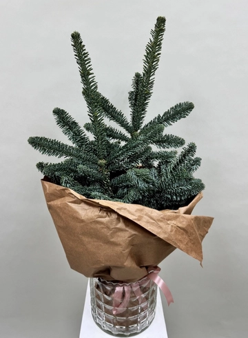 Хвойный букет в крафте от интернет-магазина цветов в 